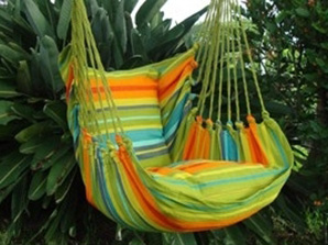Green Jungle Hanging Chair